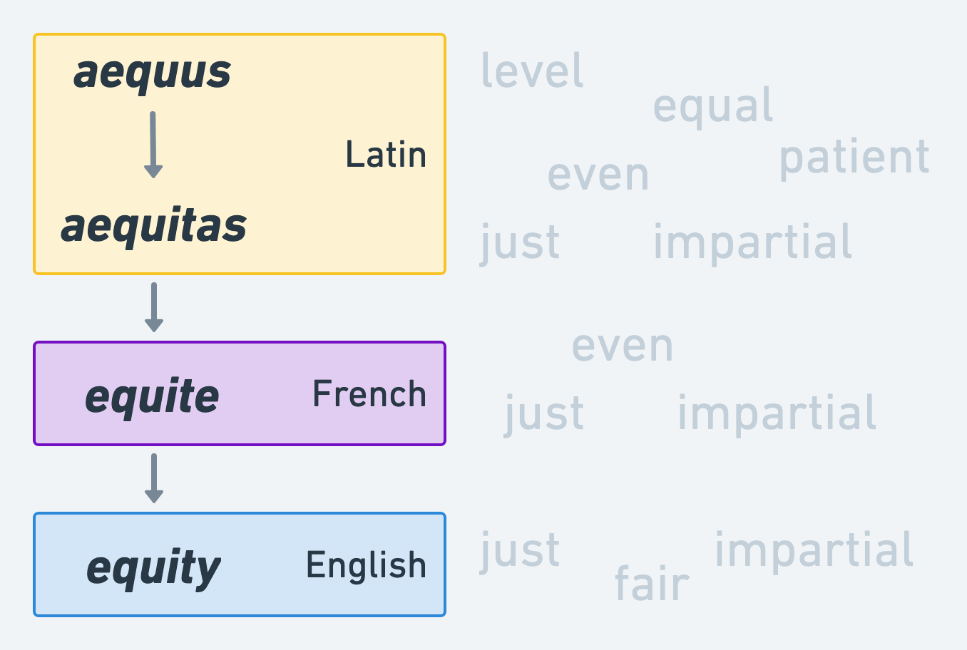 Evolution of equity